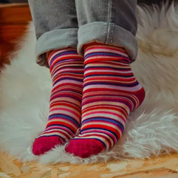 Chaussettes fil d'écosse bio classique