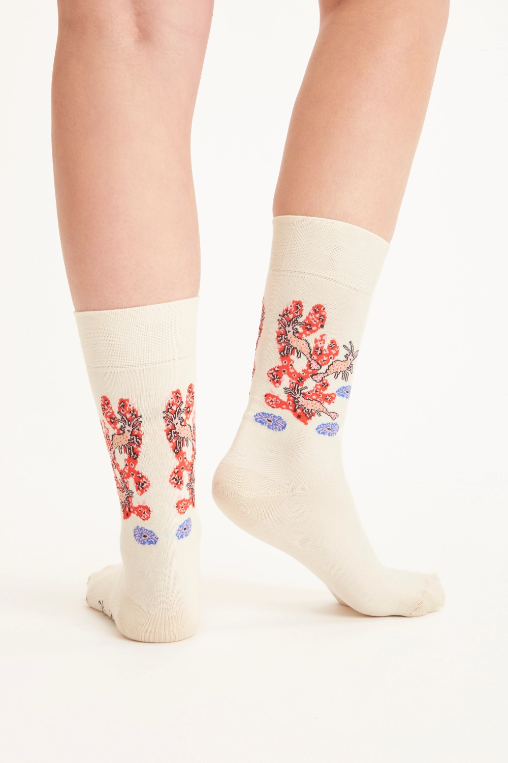 Missegle chaussettes coton biologique dom robert PCDOM 2
