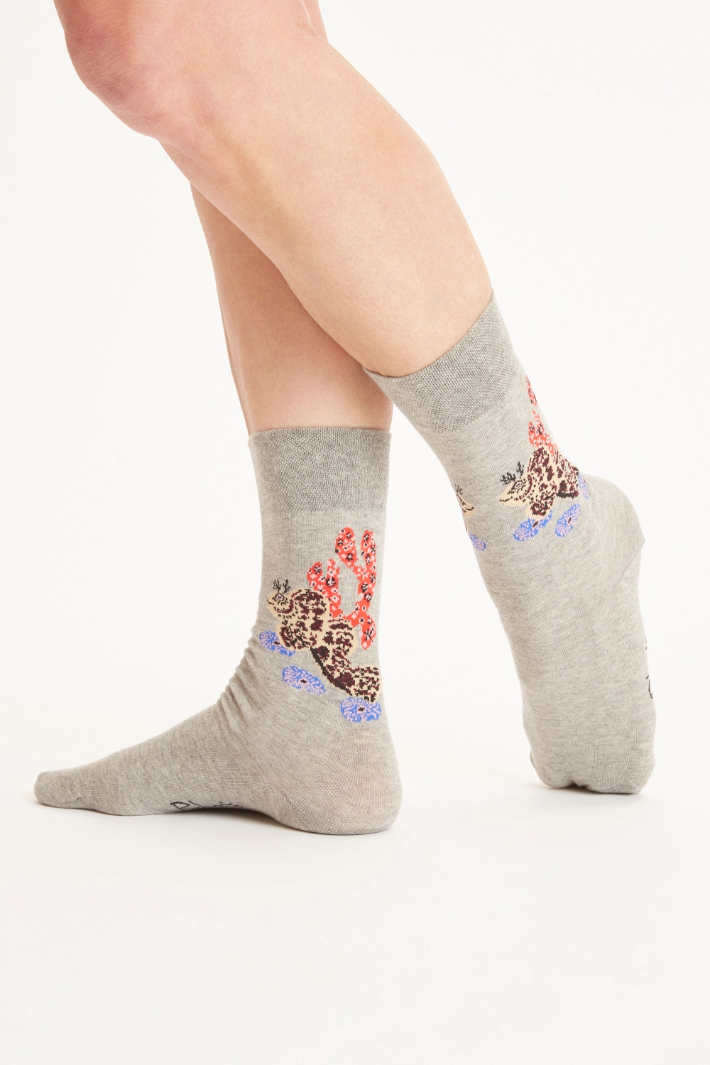 Missegle chaussettes coton biologique dom robert PCDOM 3