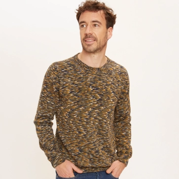 Pull en coton bio col rond homme