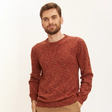 Pull en coton bio col rond homme