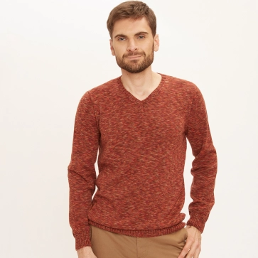 Pull en coton bio col V pour homme