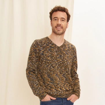 Pull en coton bio col V pour homme