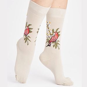Chaussettes coton bio Dom Robert