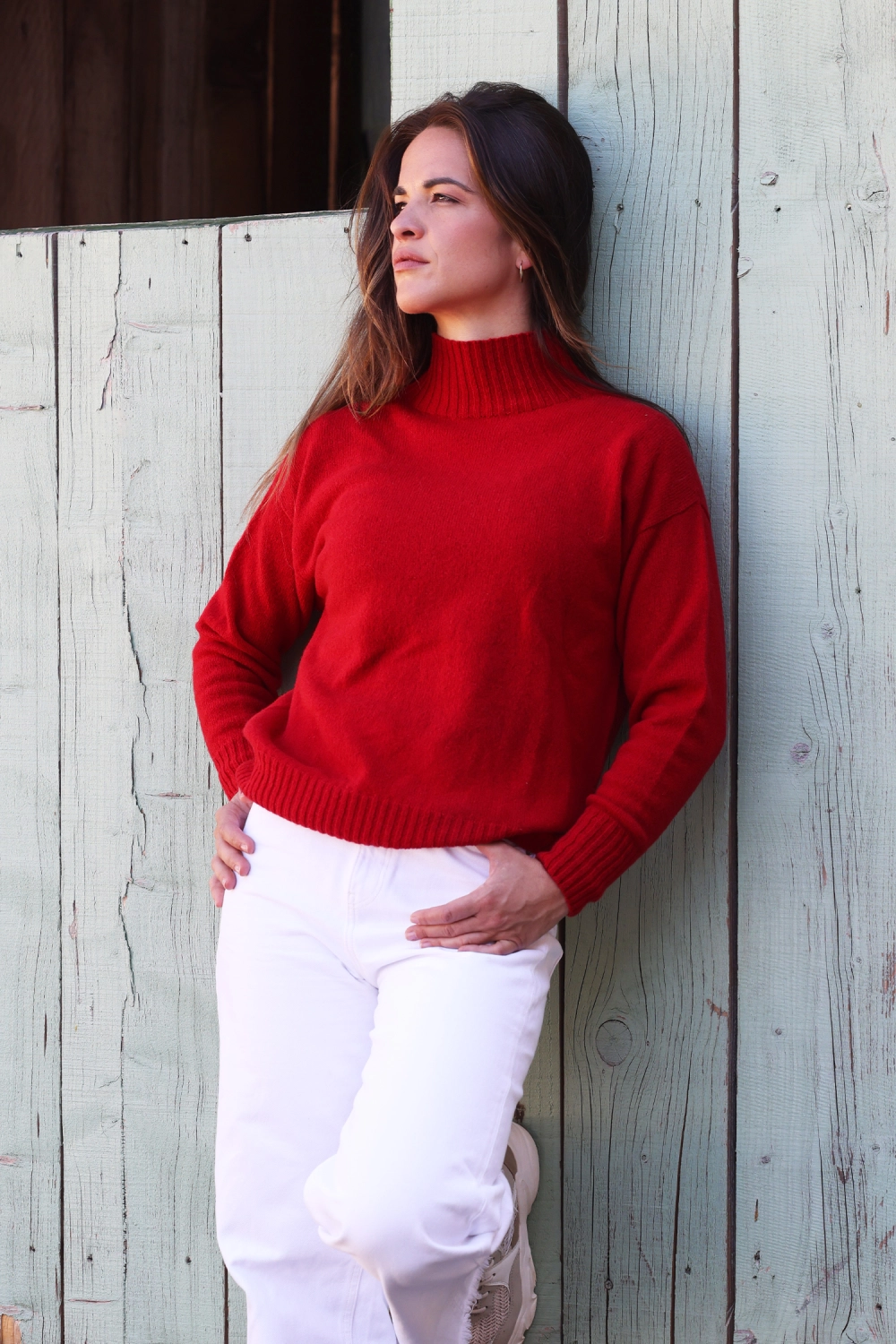 Pull laine recyclée col roulé Alice