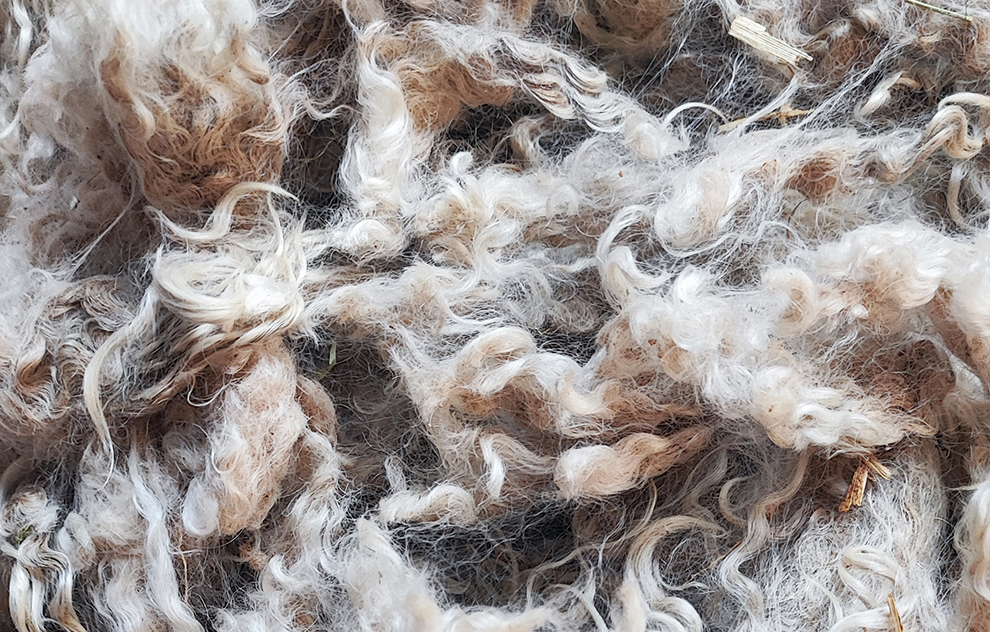 Le mohair, fibres naturelles de l'Atelier Missegle
